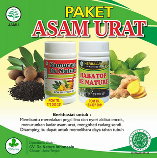 Illustration for article titled Obat Asam Urat
